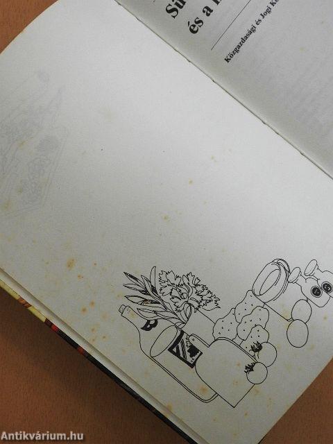 Sütés-főzés a szabadban és a hétvégi házban