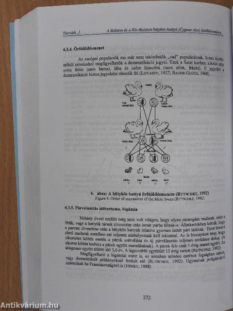 Magyar Vízivad Közlemények 10.