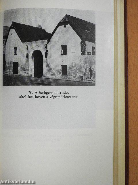 Ludwig van Beethoven