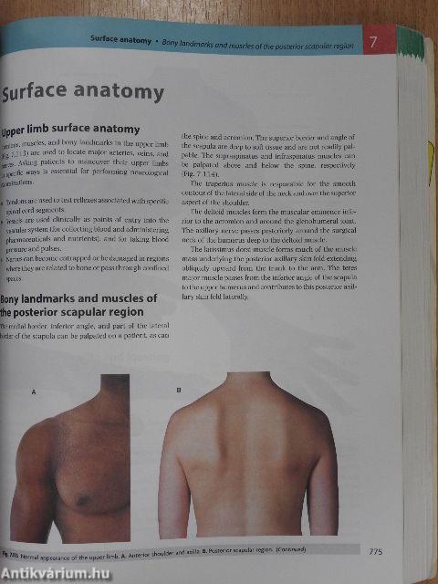 Gray's Anatomy for Students