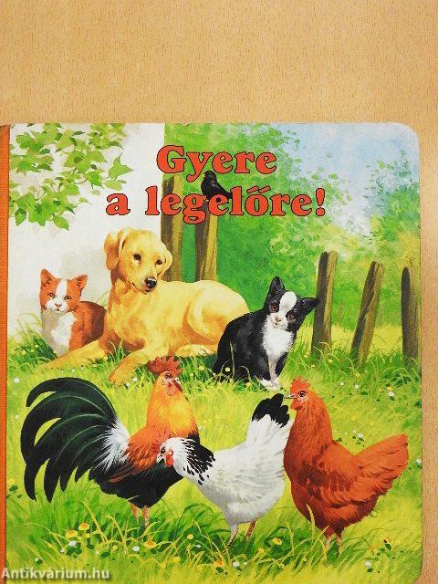 Gyere a legelőre!