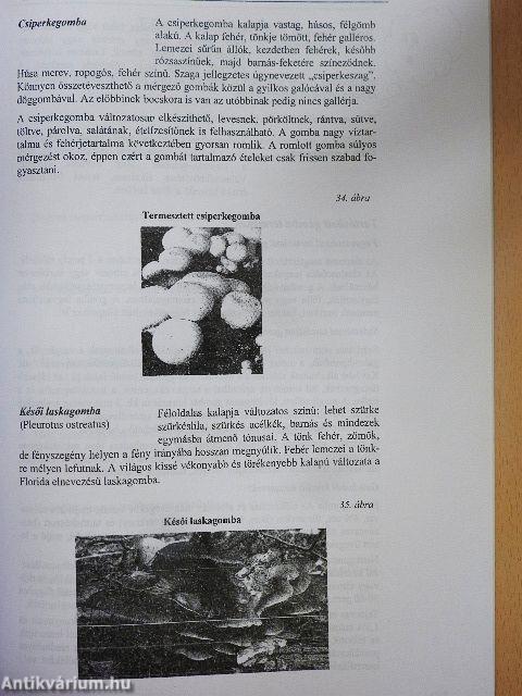 Élelmianyagismeret I.