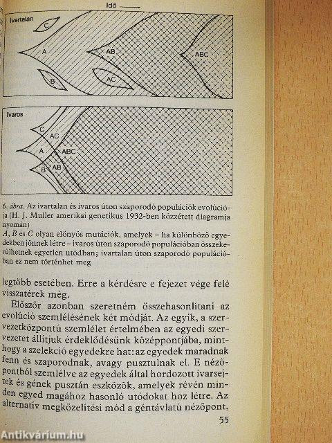 Kulcskérdések a biológiában