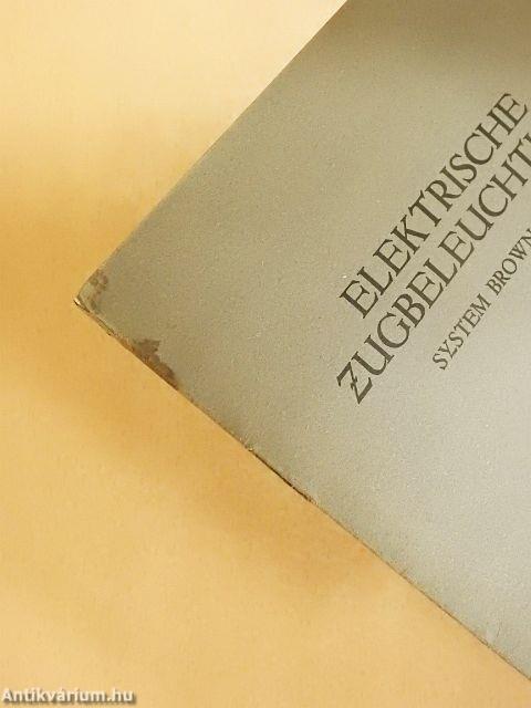 Elektrische Zugbeleuchtung