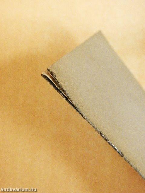 Elektrische Zugbeleuchtung