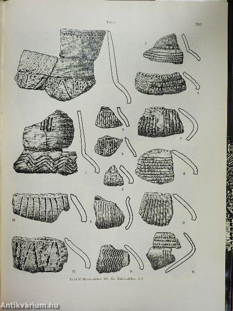 Die altmärkische Gruppe der Tiefstichkeramik