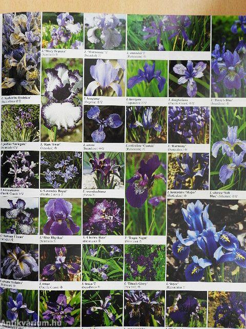 The Royal Horticultural Society Encyclopedia of Plants and Flowers