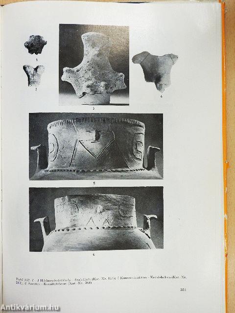 Die Linienbandkeramik in der Grossen Ungarischen Tiefebene