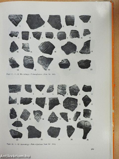 Die Linienbandkeramik in der Grossen Ungarischen Tiefebene