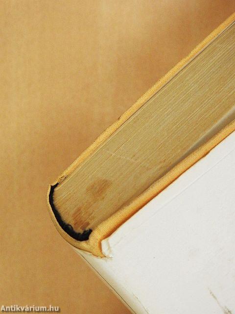 Ez mind én voltam egykor