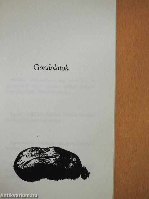 Gondolatok és adomák