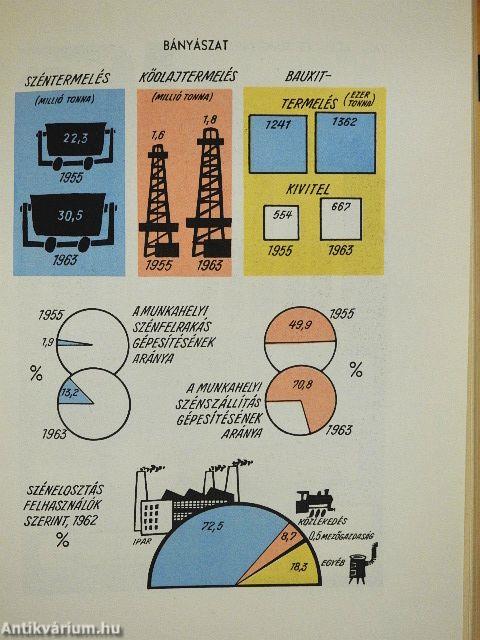 Ipari és építőipari statisztikai évkönyv 1964