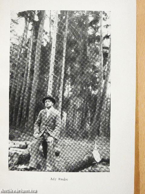 Írói arcképek I-II.