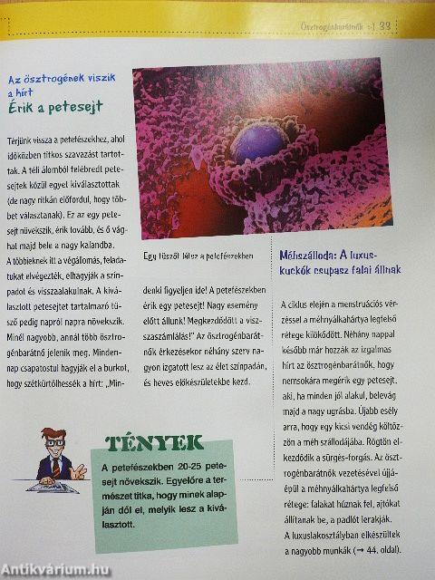 Élő adás a testemből