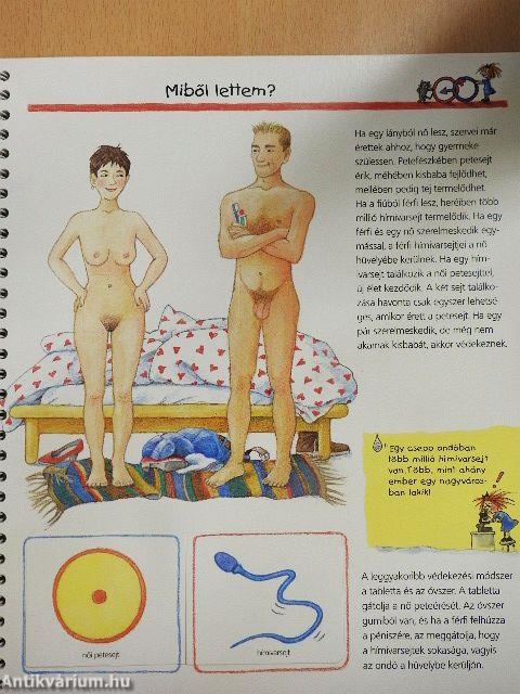 Honnan jön a kisbaba?