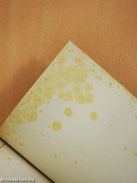 Vilma néni szabadtűzön készült ételei