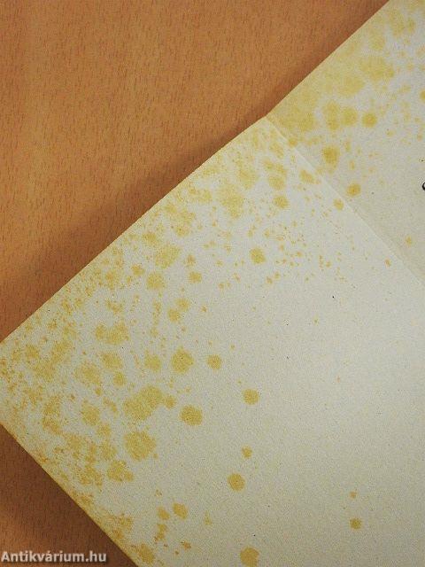 Vilma néni szabadtűzön készült ételei