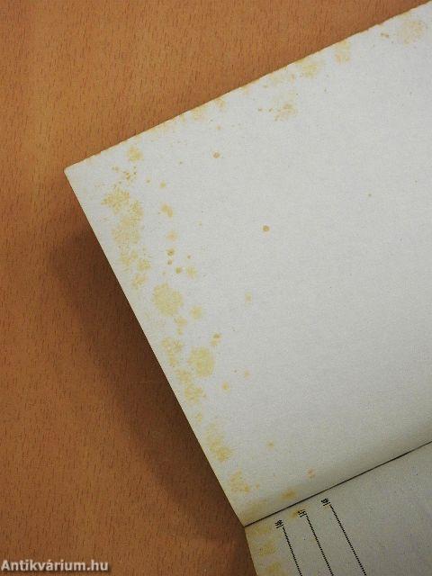 Vilma néni krumplis receptjei