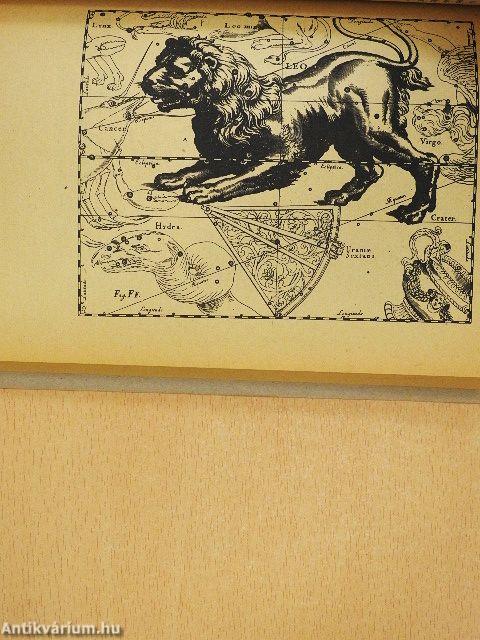 Játékos asztrológia