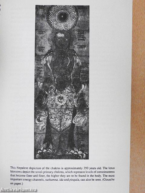 The Chakra Handbook