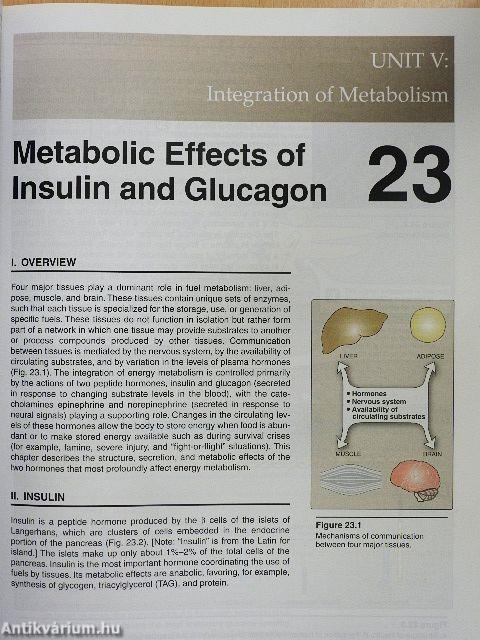 Lippincott Illustrated Reviews: Biochemistry