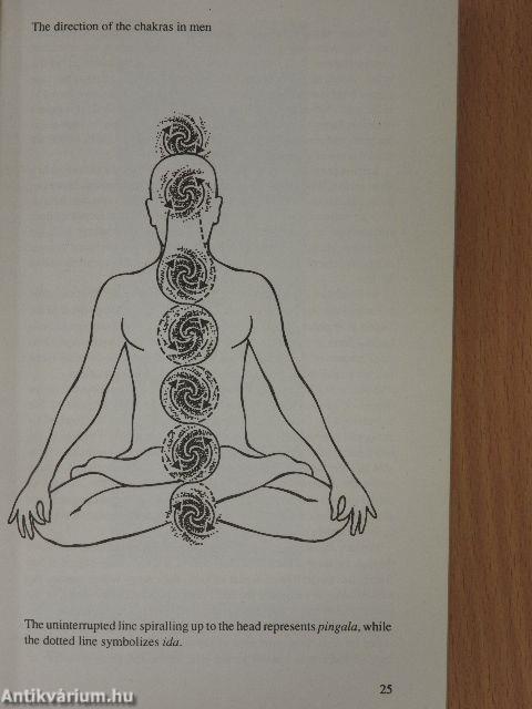 The Chakra Handbook