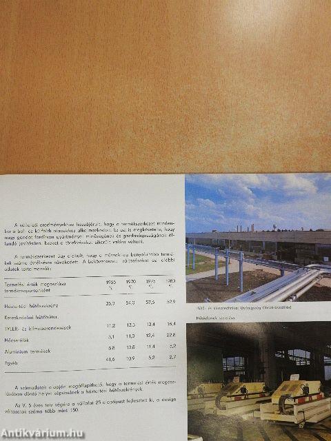 Lehel hűtőgépgyár Jászberény