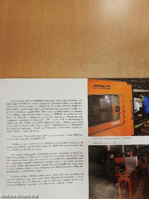 Lehel hűtőgépgyár Jászberény