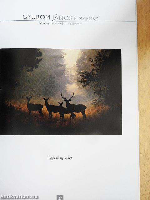 Fotó-Hungarikum 2012