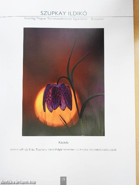 Fotó-Hungarikum 2012