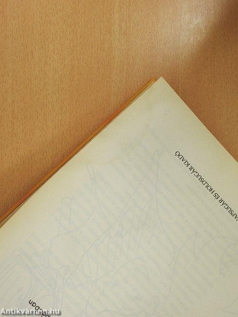 Csipet és Bogyó a pácban