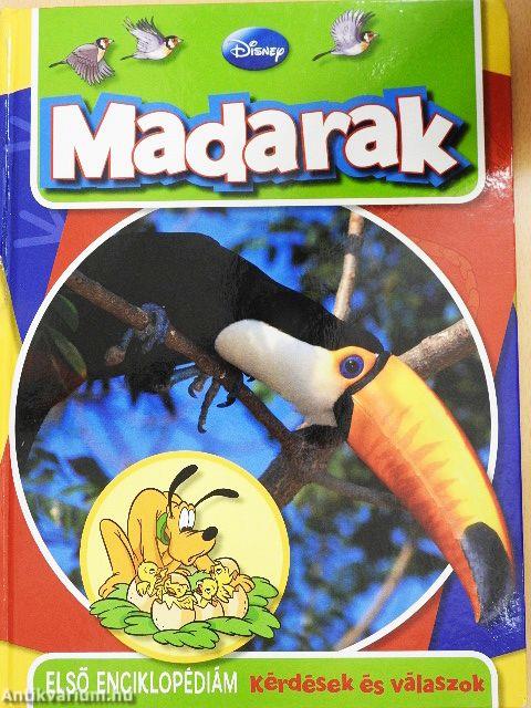 Madarak