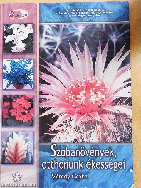 Szobanövények, otthonunk ékességei