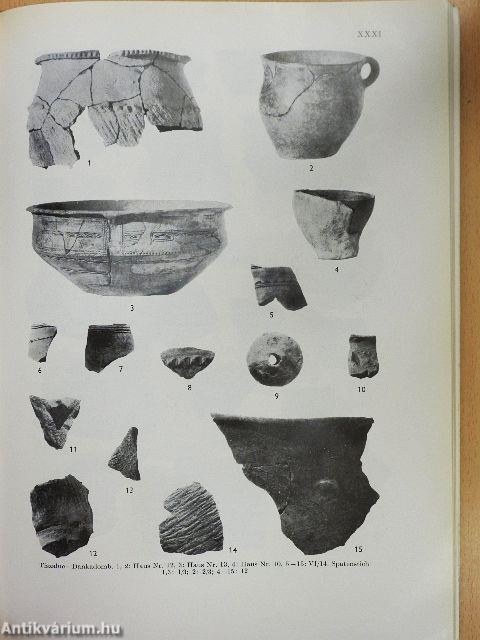 Die Frühbronzezeit in Nordost-Ungarn