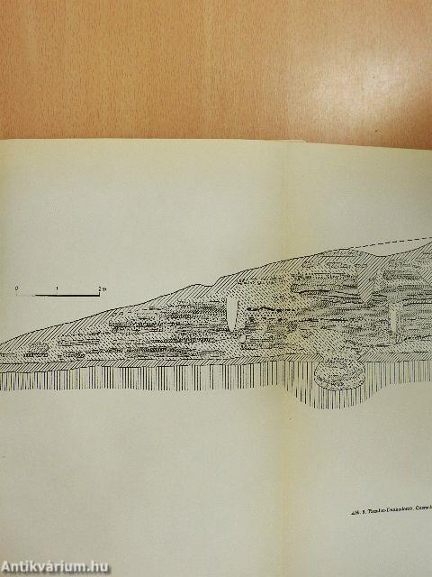 Die Frühbronzezeit in Nordost-Ungarn