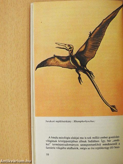A repülősárkányoktól a sárkányrepülőkig