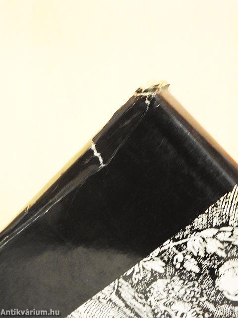 Bibliai történetek