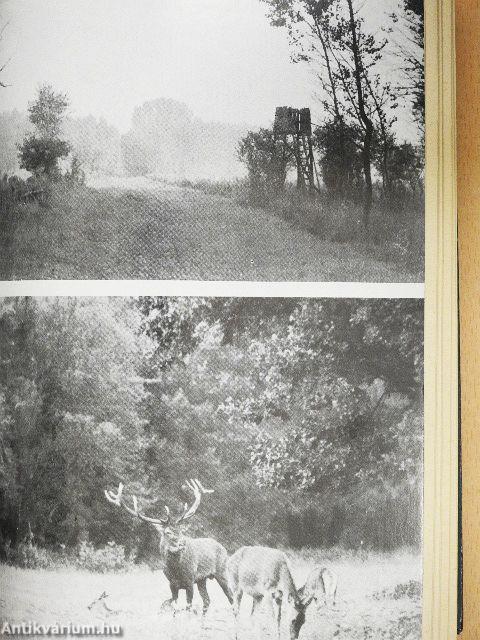 Minden nap vadásznap