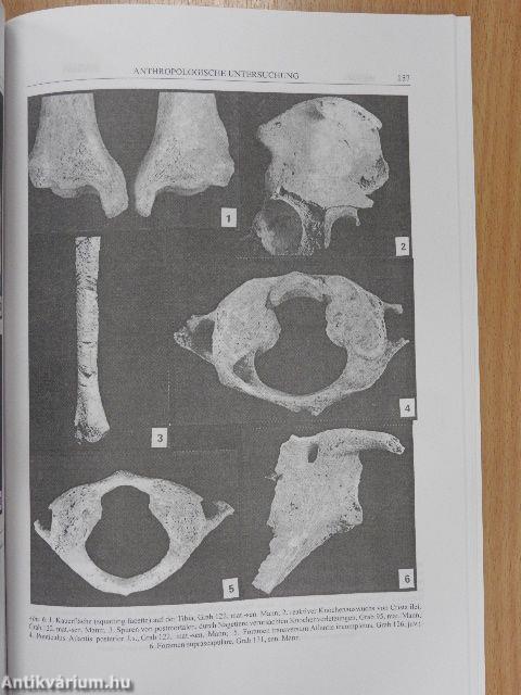 Früh- und mittelbronzezeitliche Gräberfelder von Battonya