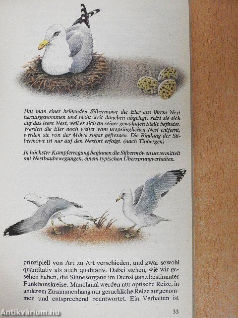 Erstaunliches über Tiere