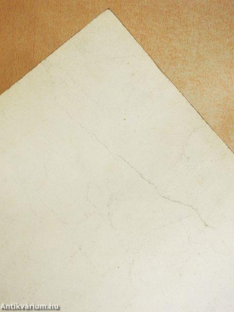 A Budapesti VII. Kerületi Állami Madách Imre Gimnázium Évkönyve az 1963-64. tanévről