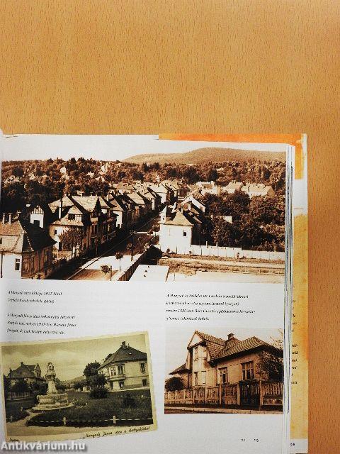 A régi soproni Lőver