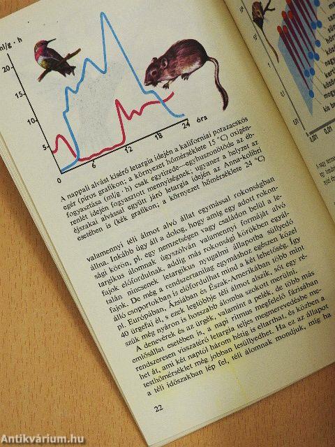 Az állatok téli álma
