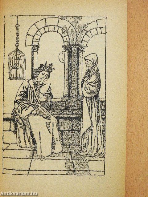 Szépen szálló sólyommadár