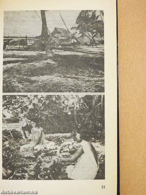 Kalandok ég és föld között