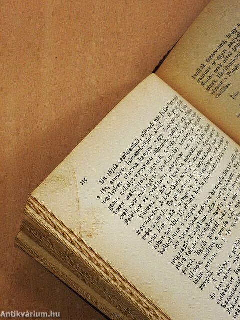 Az Amazonasz őserdeiben