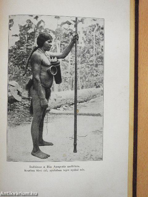 Az Amazonasz őserdeiben