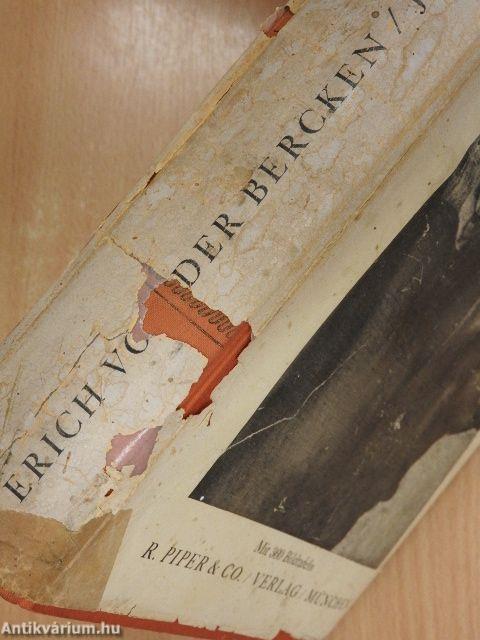 Die Gemälde des Jacopo Tintoretto