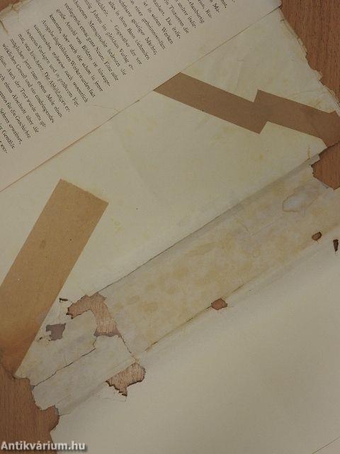 Die Gemälde des Jacopo Tintoretto