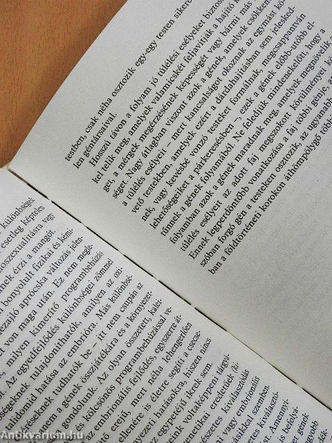 Folyam az édenkertből